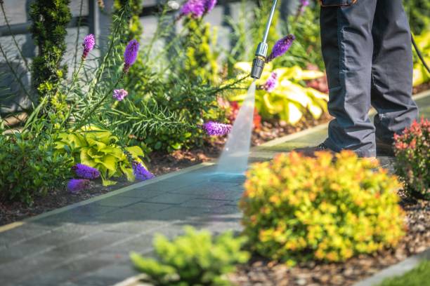 Best Driveway Pressure Washing  in Beaver, OK
